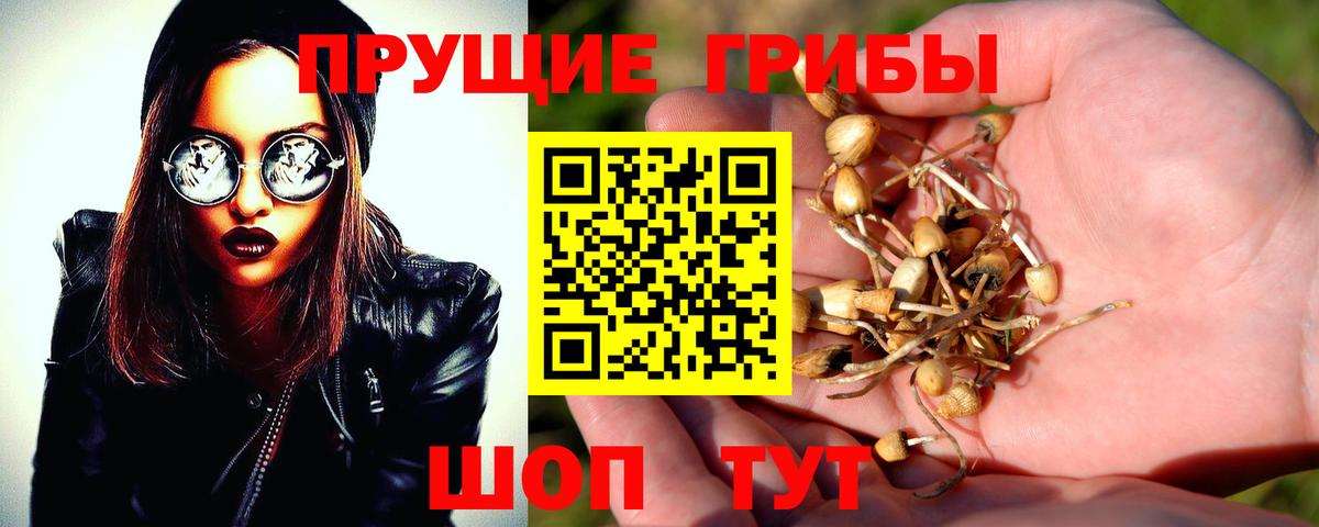 Кострома  Галлюциногенные грибы мицелий  Вход с VPN 