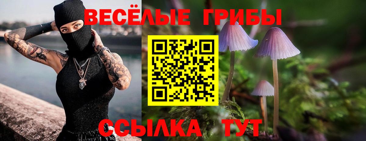 Галлюциногенные грибы GOLDEN TEACHER Кострома